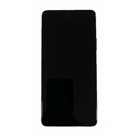 Ecran Compatibil pentru Honor X9 / Honor Magic4 Lite 5G Albastru CU RAMA