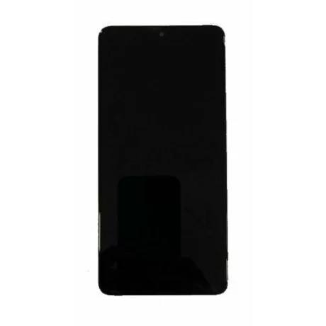 Ecran Compatibil pentru Honor X9 / Honor Magic4 Lite 5G Titanium Silver CU RAMA