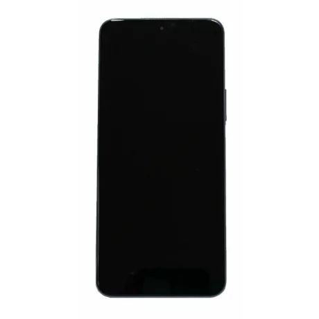 Ecran Compatibil pentru Honor X8 4G Albastru CU RAMA