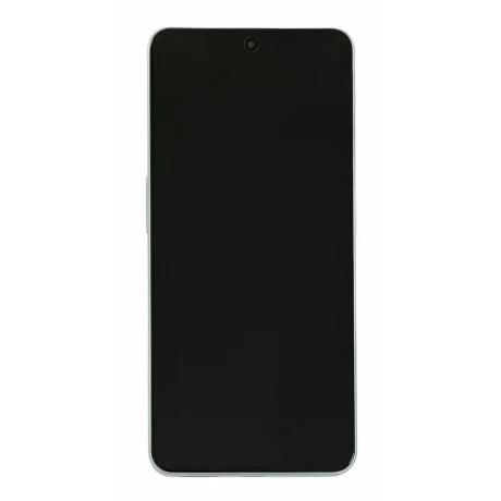 Ecran OnePlus Nord 3 5G Misty Green (Service Pack)