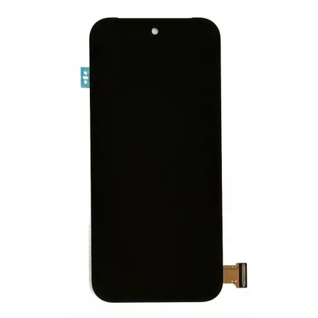 Ecran Google Pixel 9 5G 2024 (Service Pack)