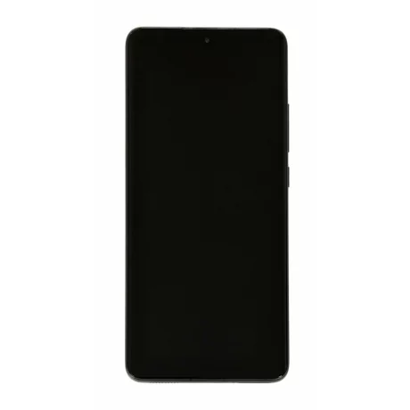 Ecran Xiaomi 12X Grey (Gri) (Service Pack)