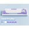 AJAZZ AK820 Mechanical Keyboard, Wired, RGB, Sea Salt Switch, Blue-White-Purple