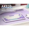 AJAZZ AK820 Mechanical Keyboard, Wired, RGB, Sea Salt Switch, Blue-White-Purple