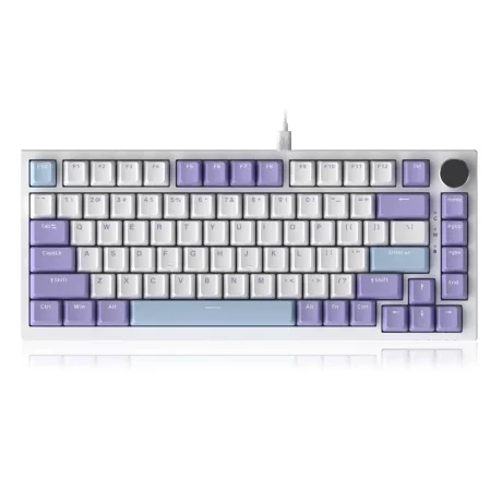 AJAZZ AK820 Mechanical Keyboard, Wired, RGB, Sea Salt Switch, Blue-White-Purple